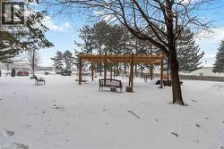 Outdoor Common Area - 