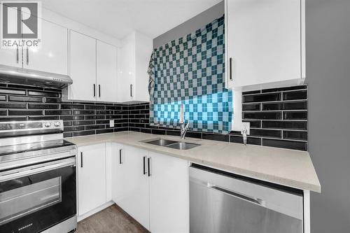 6022 Martingrove Road Ne, Calgary, AB - Indoor Photo Showing Kitchen With Double Sink