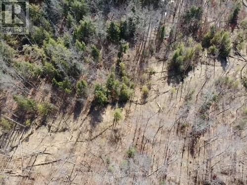 Pt Lt 31 Con 3 Tower Line, Central Huron (Goderich), ON 