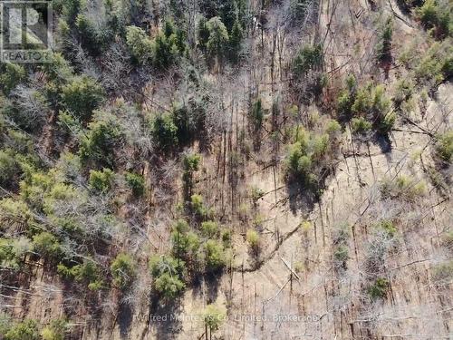 Pt Lt 31 Con 3 Tower Line, Central Huron (Goderich), ON 