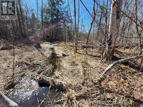 Pt Lt 31 Con 3 Tower Line, Central Huron (Goderich), ON 