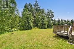 Private wooded area off back small patio. - 