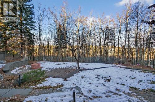 14 Christie Estate Terrace Sw, Calgary, AB - Outdoor