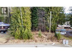 262 Glenacres Road  Nakusp, BC V0G 1R1