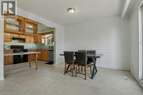 125 Ingleside Drive, Kitchener, ON - Indoor Photo Showing Kitchen