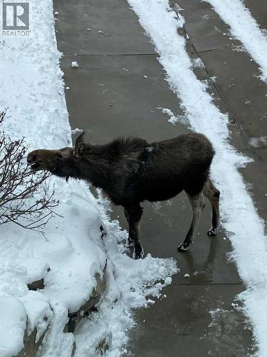 25 Posthill Drive Sw, Calgary, AB - Outdoor With Body Of Water