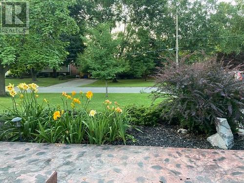 71 Sunray Avenue, London South (South V), ON - Outdoor