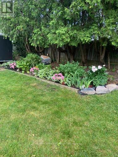 71 Sunray Avenue, London South (South V), ON - Outdoor