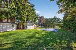 Large yard with 2 sheds - 