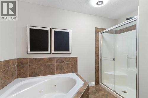 100 Lakeside View, Strathmore, AB - Indoor Photo Showing Bathroom