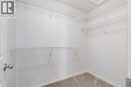 48 Covemeadow Road Ne, Calgary, AB - Indoor With Storage