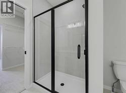 Primary Ensuite Shower - 