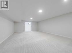 Basement Living / Rec Room - 