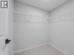 Basement Bedroom 2 Walk-In Closet - 