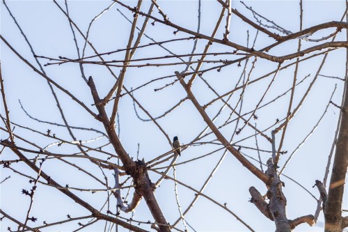 4496 Gary Lane, Campbell River, BC 