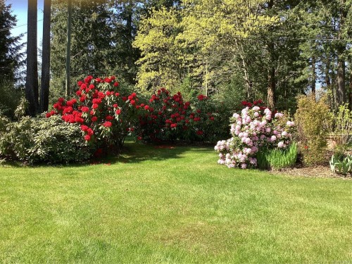 4496 Gary Lane, Campbell River, BC 