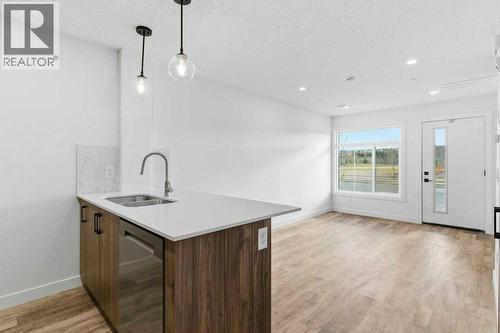 102, 156 Park Street, Cochrane, AB - Indoor Photo Showing Kitchen With Double Sink