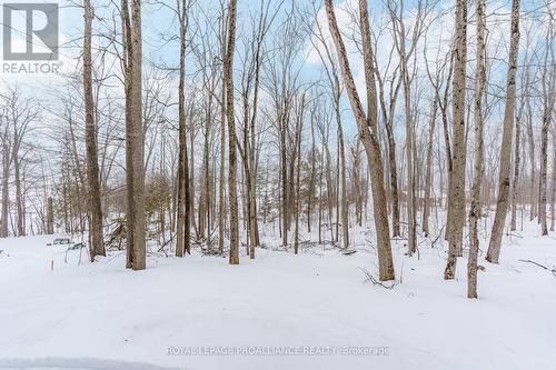 160 Sumcot Drive, Trent Lakes, ON - Outdoor With View