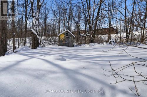 94 Maple Street, Trent Hills (Campbellford), ON - Outdoor With View