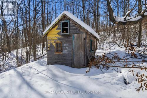 94 Maple Street, Trent Hills (Campbellford), ON - Outdoor