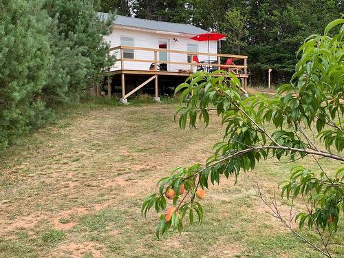 2721 Trans Canada Hwy., Flat River, PE 