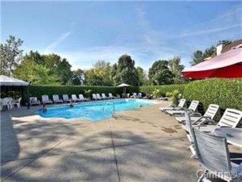 Pool - 107-600 Rue Des Tilleuls, Saint-Bruno-De-Montarville, QC - Outdoor With In Ground Pool With Backyard