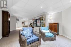 large spacious finished  basement - 