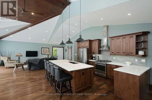 307 Queen Street S, Mississauga, ON - Indoor Photo Showing Kitchen With Upgraded Kitchen