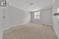 Empty room with crown molding, light colored carpet, and a textured ceiling - 