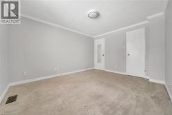 Spare room with ornamental molding, a textured ceiling, and light carpet - 