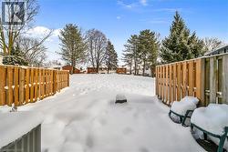 View of yard layered in snow - 