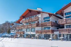 464-140 Rue Cuttle  Mont-Tremblant, QC J8E 1B6