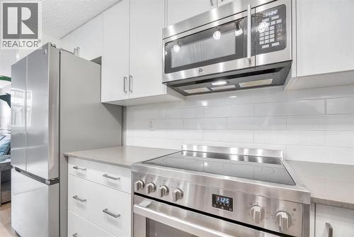 344 Cranbrook Square Se, Calgary, AB - Indoor Photo Showing Kitchen With Upgraded Kitchen