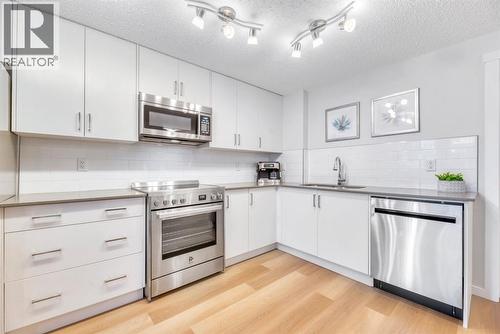344 Cranbrook Square Se, Calgary, AB - Indoor Photo Showing Kitchen With Upgraded Kitchen