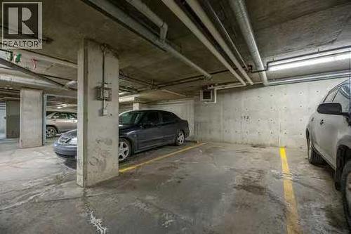 215, 355 Taralake Way Ne, Calgary, AB - Indoor Photo Showing Garage