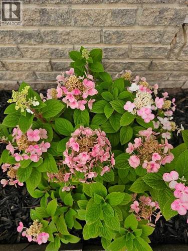 1934 8 Avenue, Wainwright, AB - Outdoor