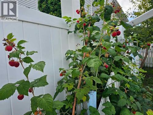 1934 8 Avenue, Wainwright, AB - Outdoor