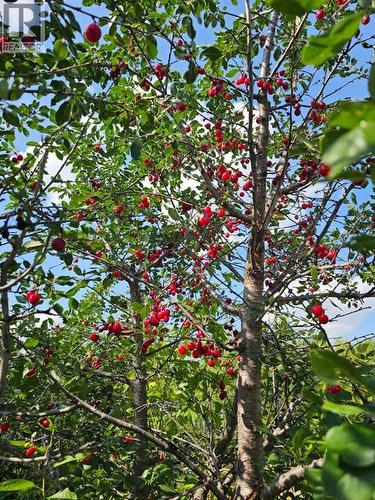 1934 8 Avenue, Wainwright, AB - Outdoor