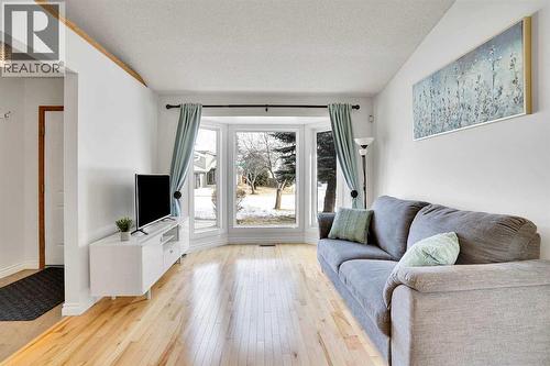 143 Millview Court Sw, Calgary, AB - Indoor Photo Showing Living Room