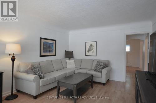 203 Summerhill Avenue, Hamilton, ON - Indoor Photo Showing Living Room