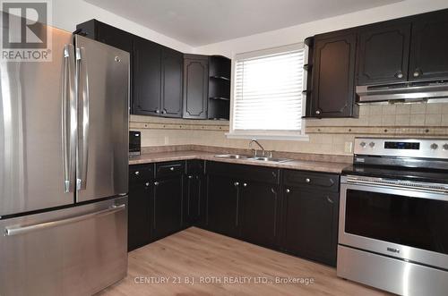 203 Summerhill Avenue, Hamilton, ON - Indoor Photo Showing Kitchen With Double Sink