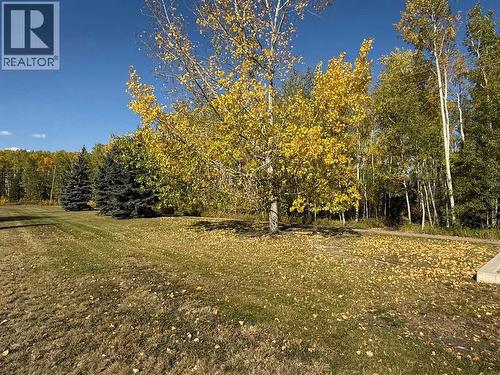 Birchwood trails across the street - 247 Cornwall Drive, Fort Mcmurray, AB - Outdoor With View