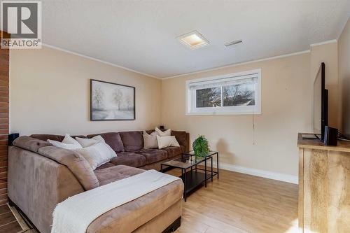 Family room - 1205 Meadowbrook Drive Se, Airdrie, AB - Indoor Photo Showing Living Room