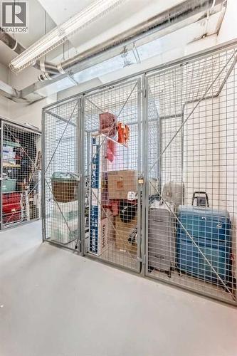 3402, 1122 3 Street Se, Calgary, AB - Indoor Photo Showing Garage