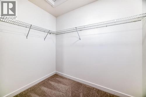 348 Cornerbrook Drive Ne, Calgary, AB - Indoor With Storage