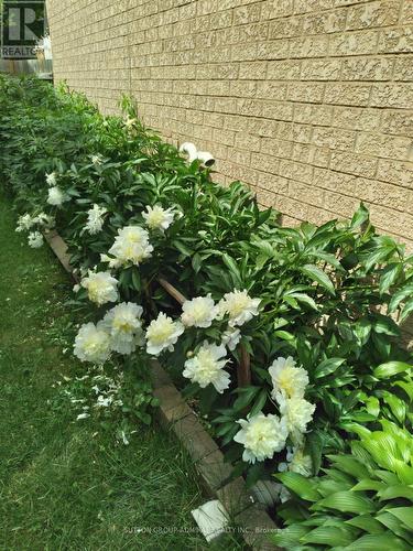 95 Athabaska Road, Barrie, ON - Outdoor