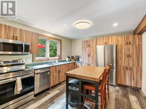 1326 Kawagama Lake Road, Algonquin Highlands (Sherborne), ON - Indoor Photo Showing Kitchen With Double Sink
