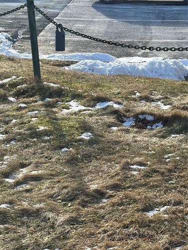 6-110 Lindon Place, St. John'S, NL 