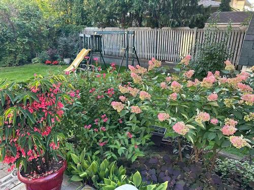 Jardin - 266 Av. Glengarry, Mont-Royal, QC - Outdoor
