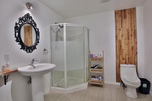 Salle de bains - 34 Rue Desaulniers, Shefford, QC - Indoor Photo Showing Bathroom